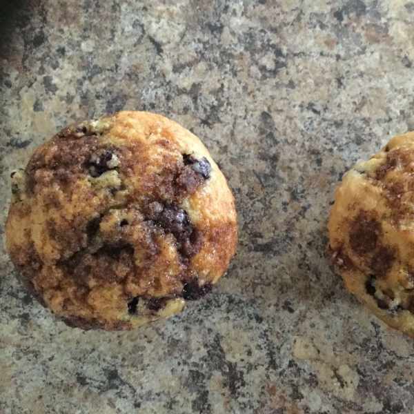 Saskatoon Berry Oat Muffins