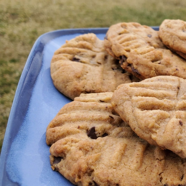 Vegan Chocolate Almond Butter Cookies