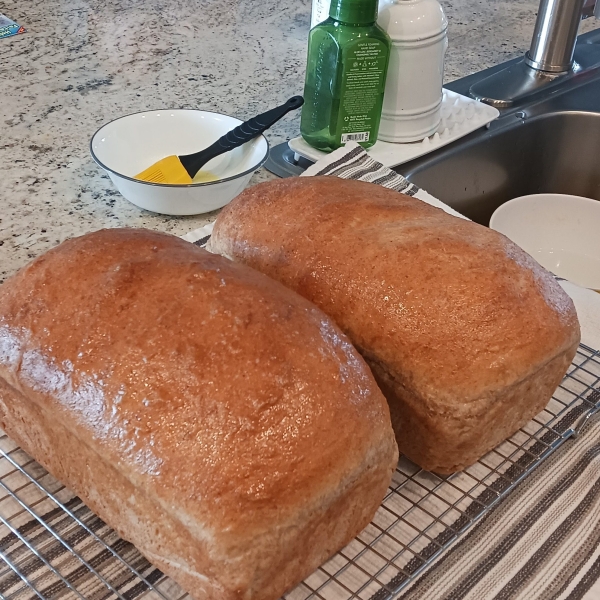 Simple Whole Wheat Bread