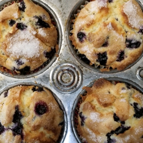 Blueberry Muffins II