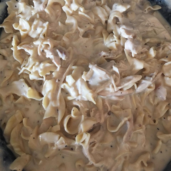 Creamy Chicken and Noodles