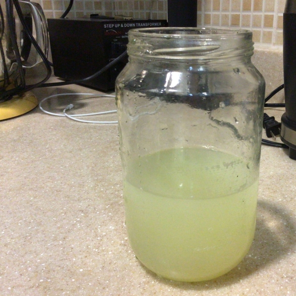 Best Homemade Lemonade Ever