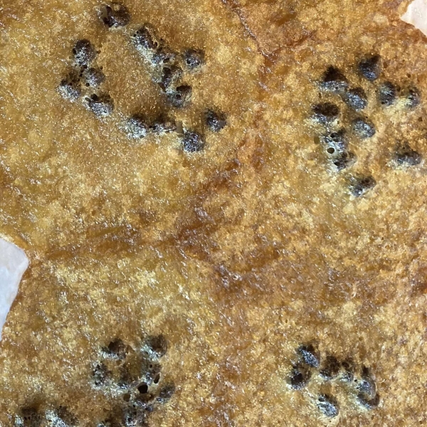 Best Ever Chocolate Chip Cookies