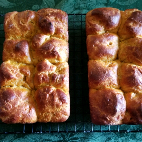 Pumpkin Brioche