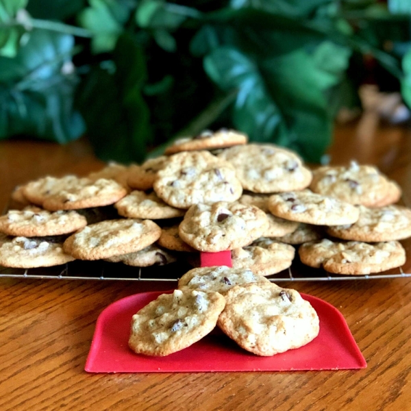 Tahini-Chocolate Chip Cookies