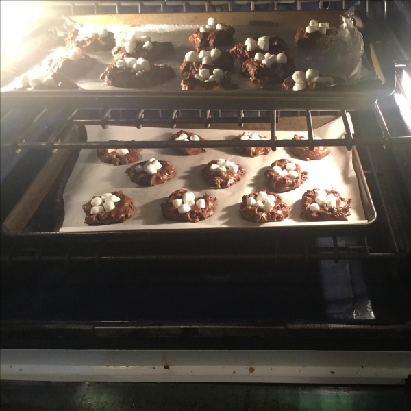 Mellow Chocolate Chip Cookies