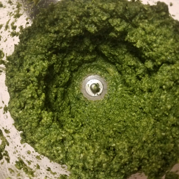 Easy Kale Pesto