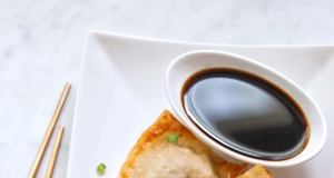 Air Fryer Beef Wontons