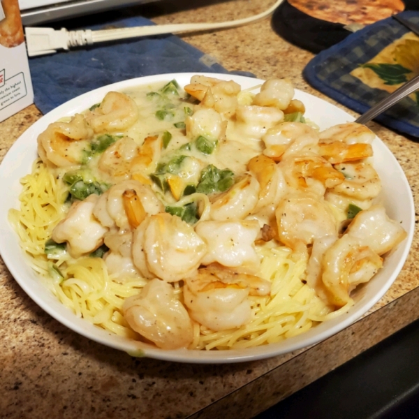 Shrimp Alfredo Pasta