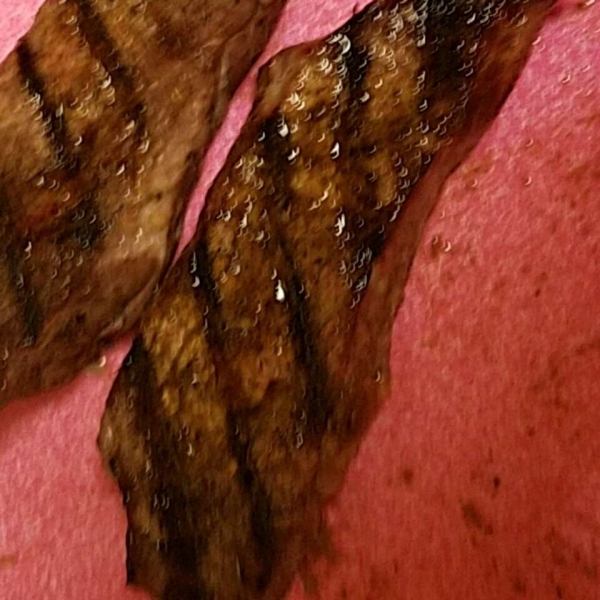 Jamaican Jerk Dry Rub recipe Easy Cook Find