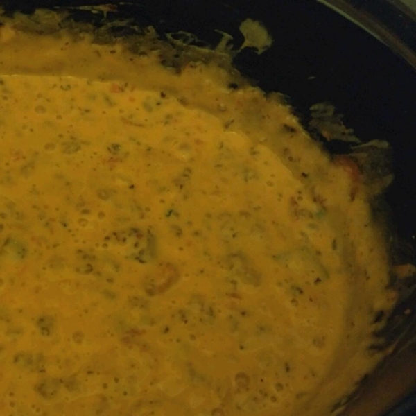 Spicy Melted Cheese Dip