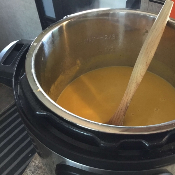 Instant Pot Spicy Butternut Squash Soup