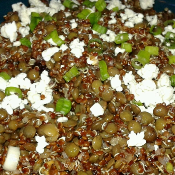 Cranberry Lentil and Quinoa Salad