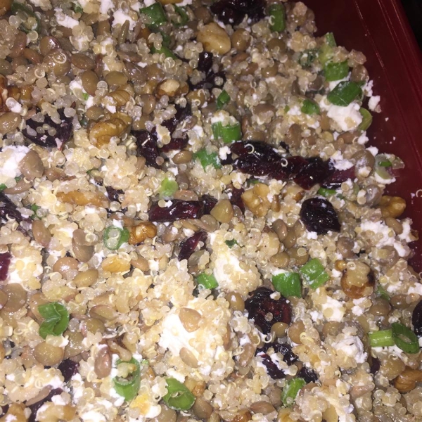 Cranberry Lentil and Quinoa Salad