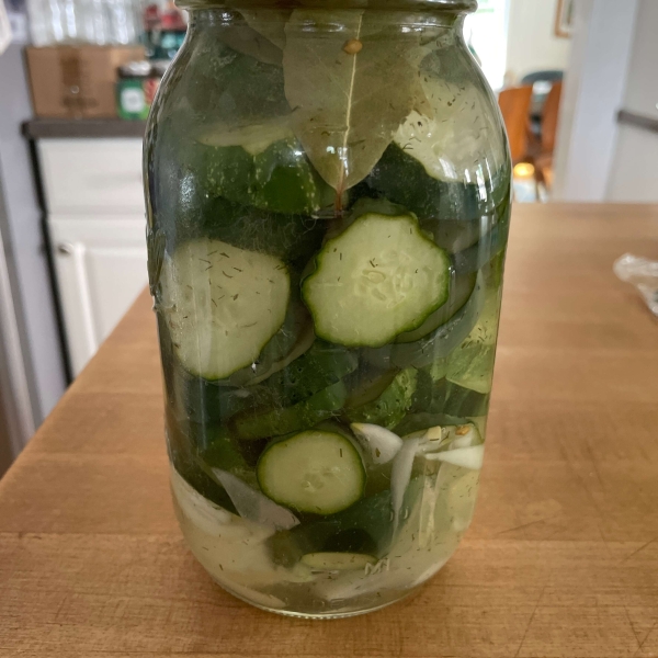 Homemade Refrigerator Pickles