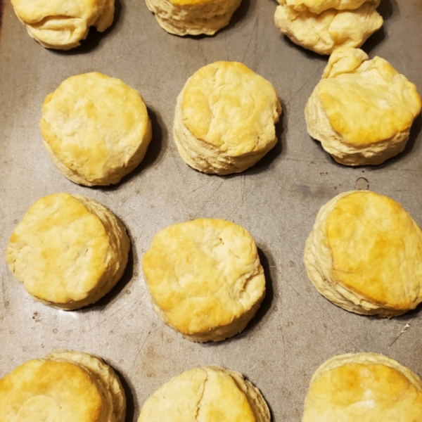 Beer Biscuits