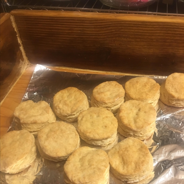 Beer Biscuits