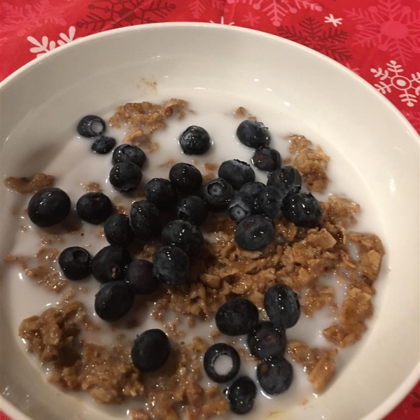 Sweet Coconut Oatmeal