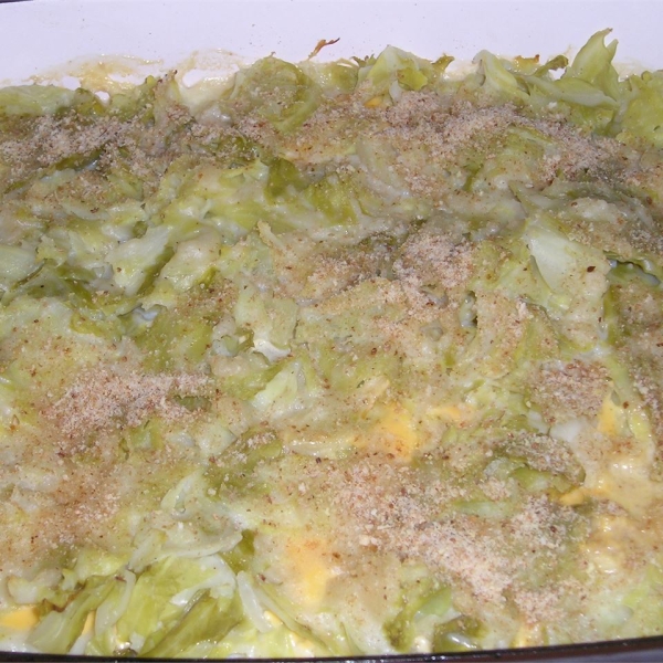 Cabbage Au Gratin