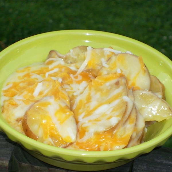 Quick and Easy Cheesy Red Scalloped Potatoes