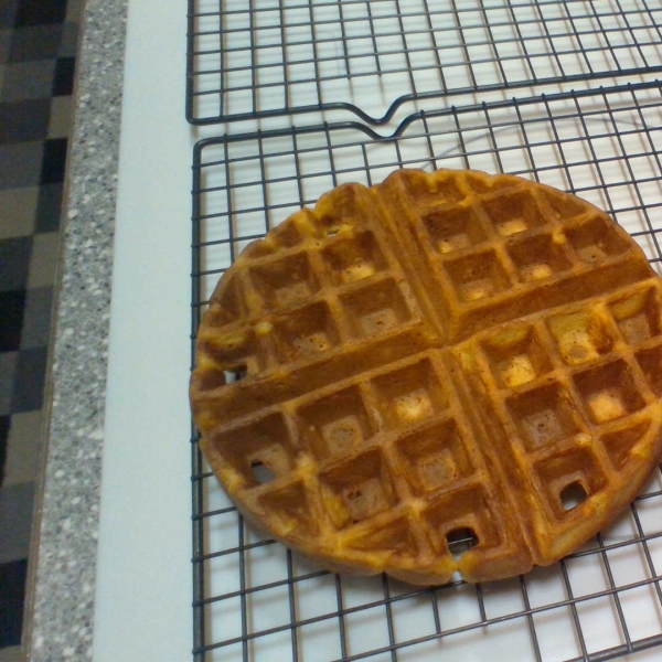 Pumpkin Waffles with Apple Cider Syrup