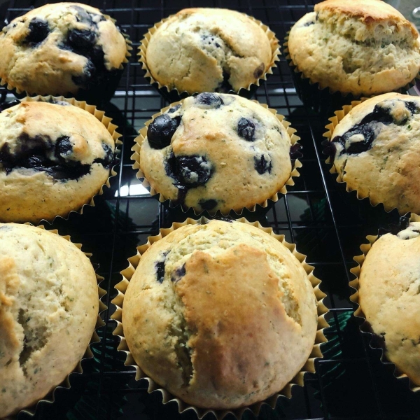 Lemon Verbena-Blueberry Muffins