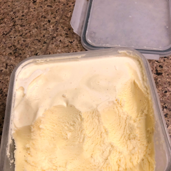 Frozen Vanilla Custard