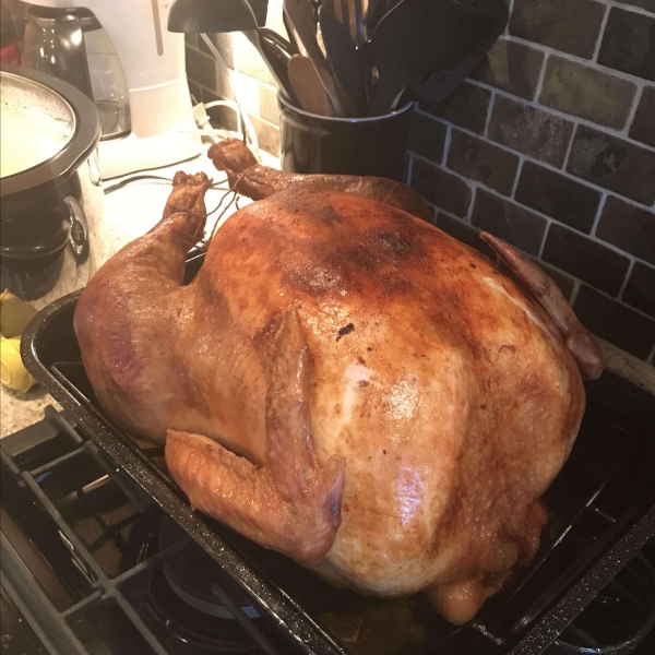 Easy Beginner's Turkey with Stuffing