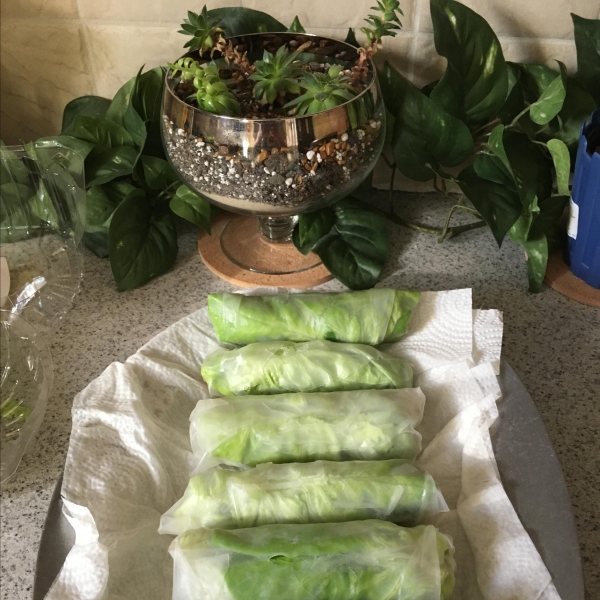 Spring Rolls with Coconut Peanut Sauce