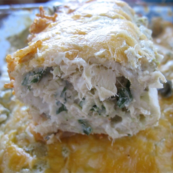 Savory Halibut Enchiladas