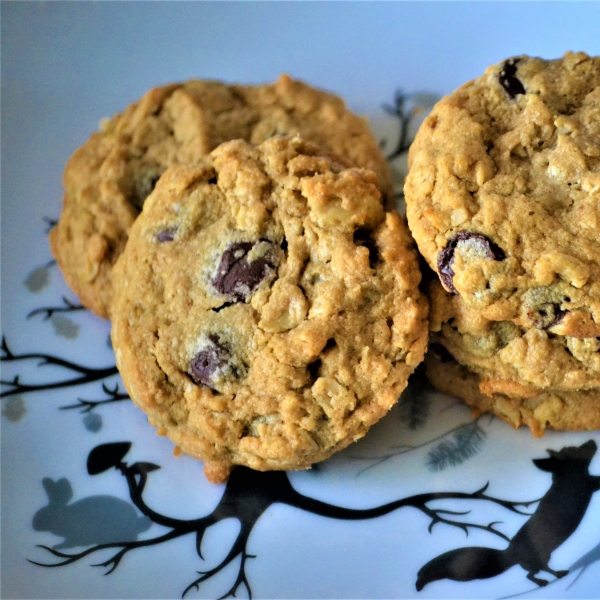 Gluten-Free Chickpea-Flour Chocolate Chunk Cookies with Peanut Butter and Oats