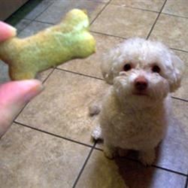 Dog Biscuits II