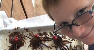 Edible Spiders