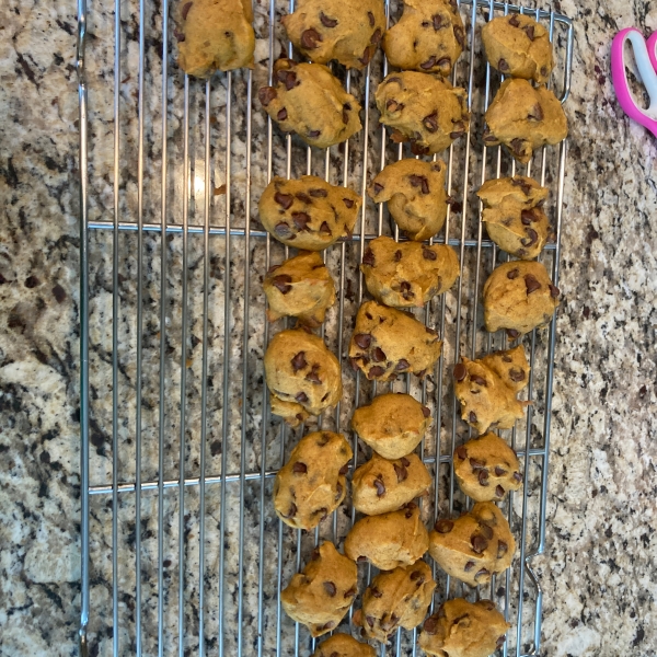 Pumpkin Chocolate Chip Cookies III