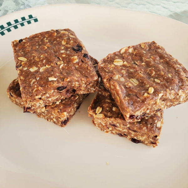 Homemade No-Bake Protein Bars