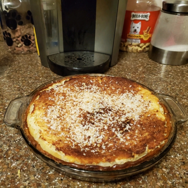 Coconut Custard Pie I