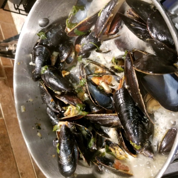 Amazing Mussels