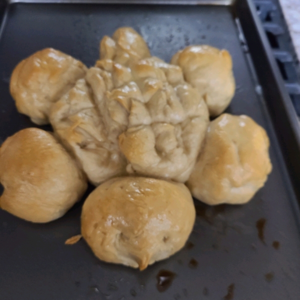 Turtle Bread