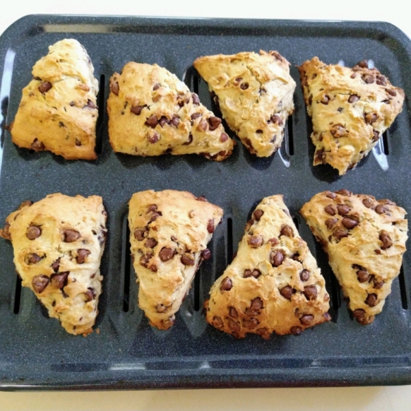 Hazelnut Chocolate Chip Scones