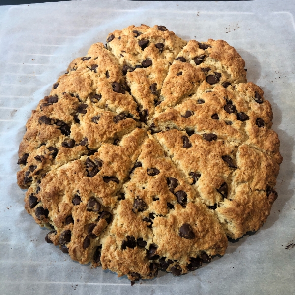 Hazelnut Chocolate Chip Scones