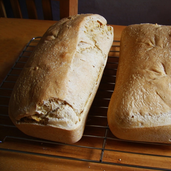 Spelt Bread I