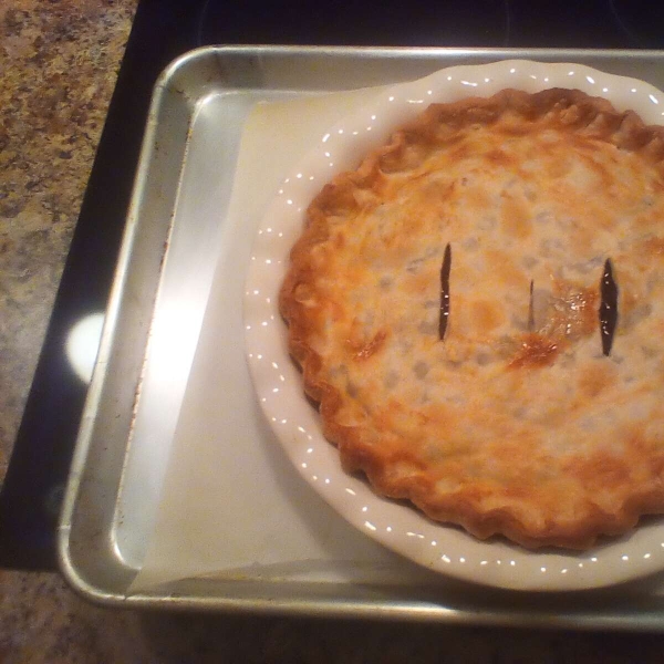 Blueberry Pie with Frozen Berries