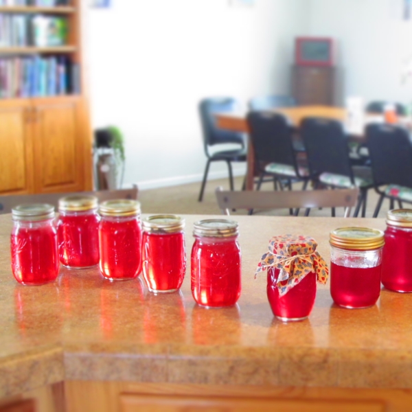 Mary Wynne's Crabapple Jelly recipe - Easy Cook Find