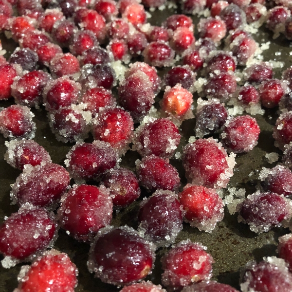 Frosted Cranberries