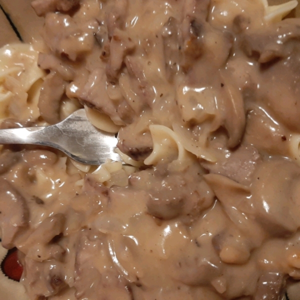 Beef Stroganoff with Steak