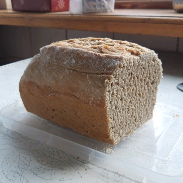 Rustic Whole Wheat Bread