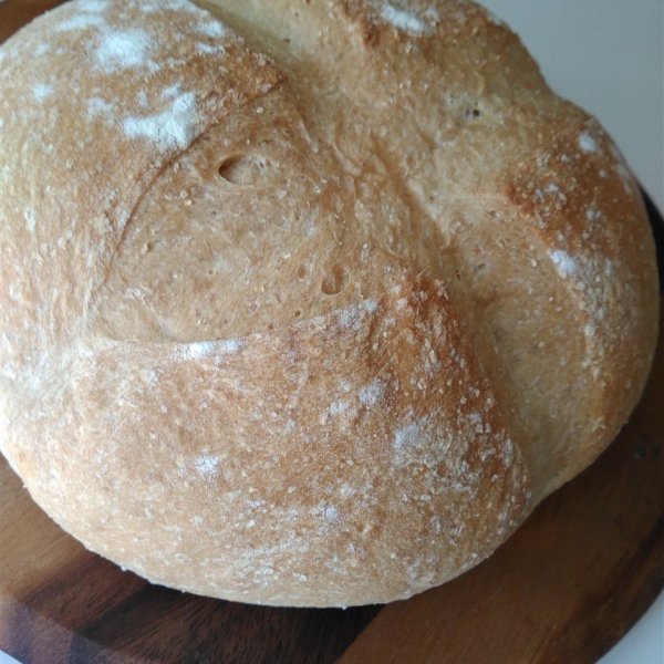 Rustic Whole Wheat Bread