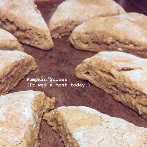 Australian-Style Pumpkin Scones