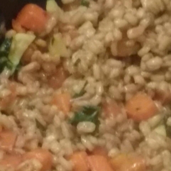 Barley Primavera