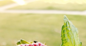 Fresas con Crema my Way